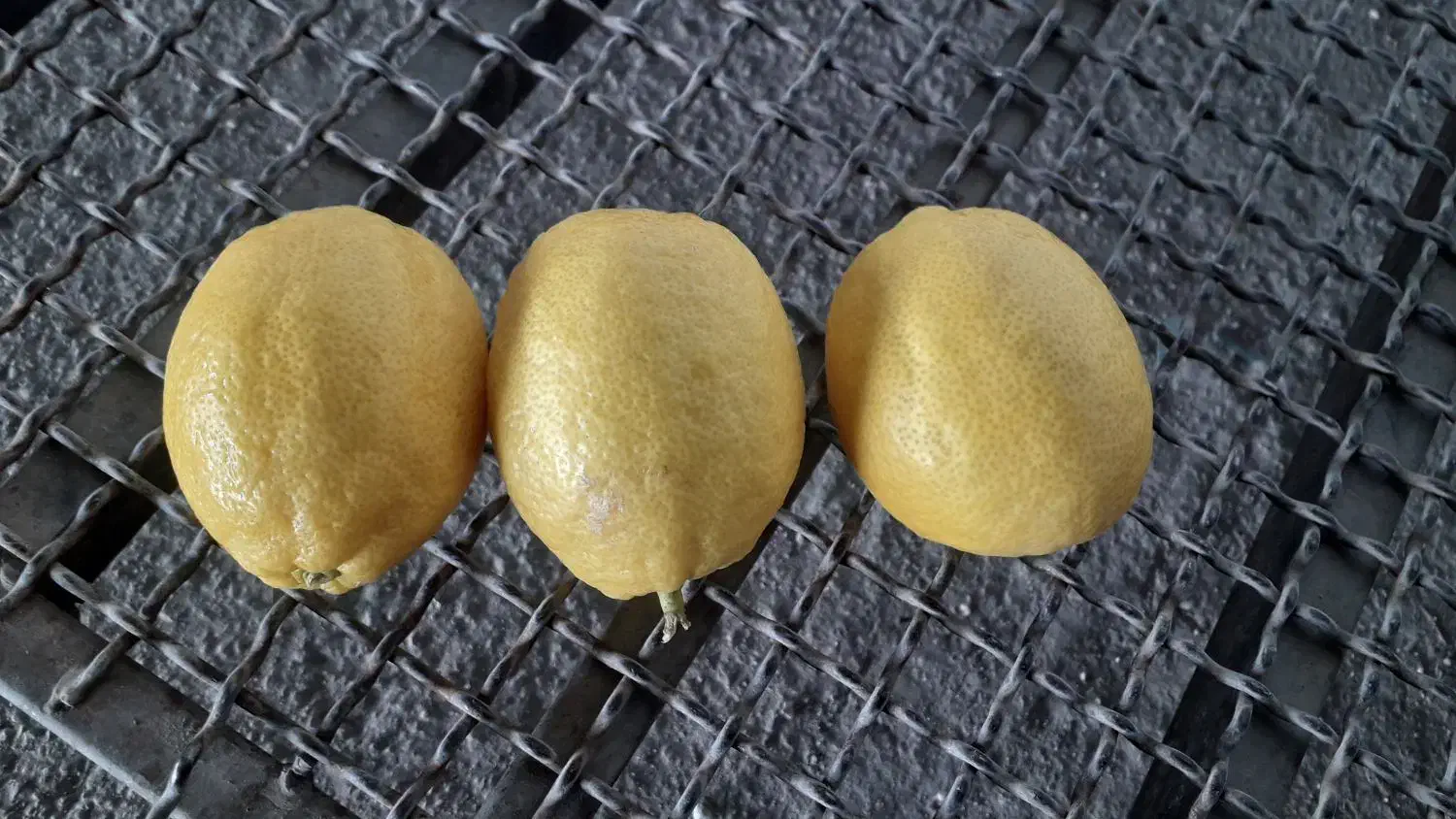 لیمو سنگی|خوردنی و آشامیدنی|داراب, |دیوار