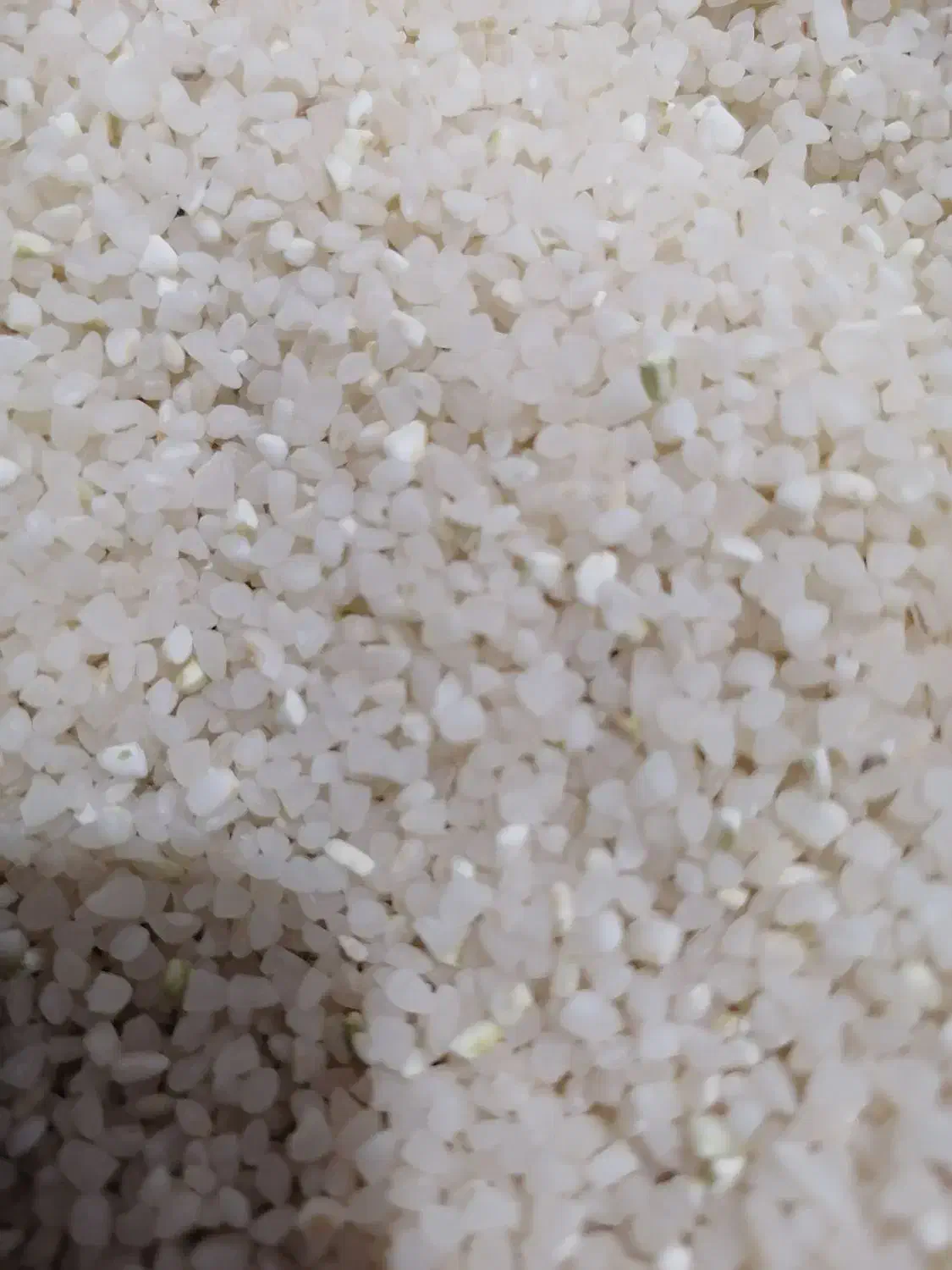 برنج کامفیروزی و خرده برنج کامفیروزی درجه یک بشرط|خوردنی و آشامیدنی|شیراز, شهرک دارایی|دیوار