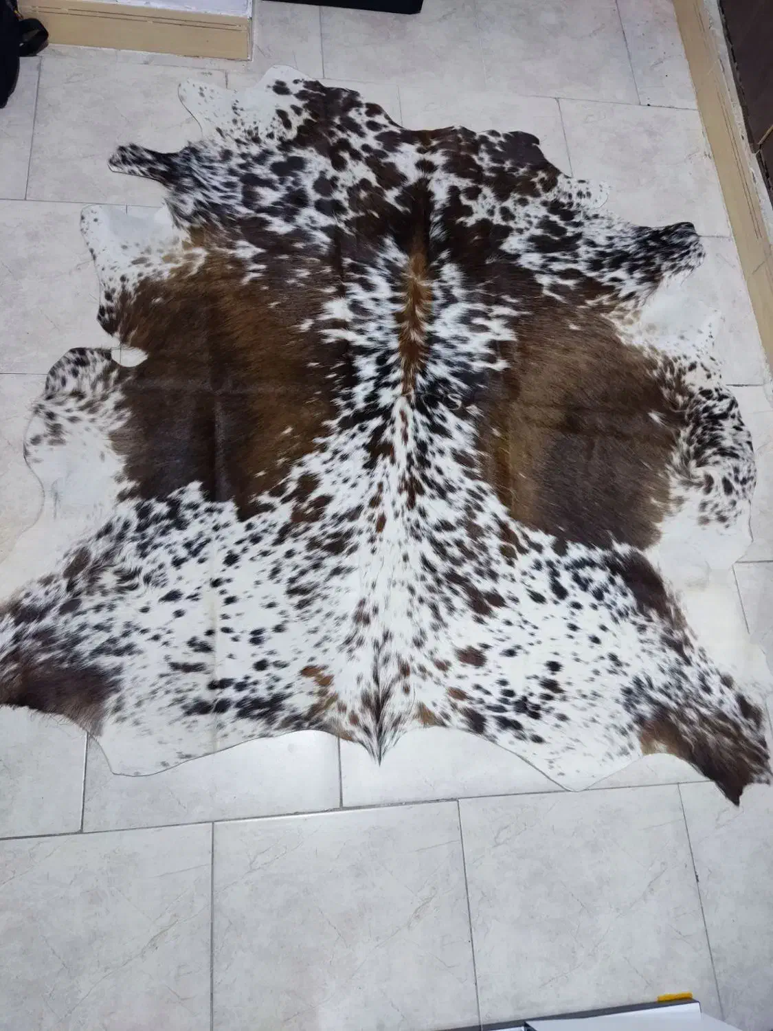 پوست طبیعی گاوی نو|گلیم، جاجیم، گبه|نسیم‌شهر, |دیوار