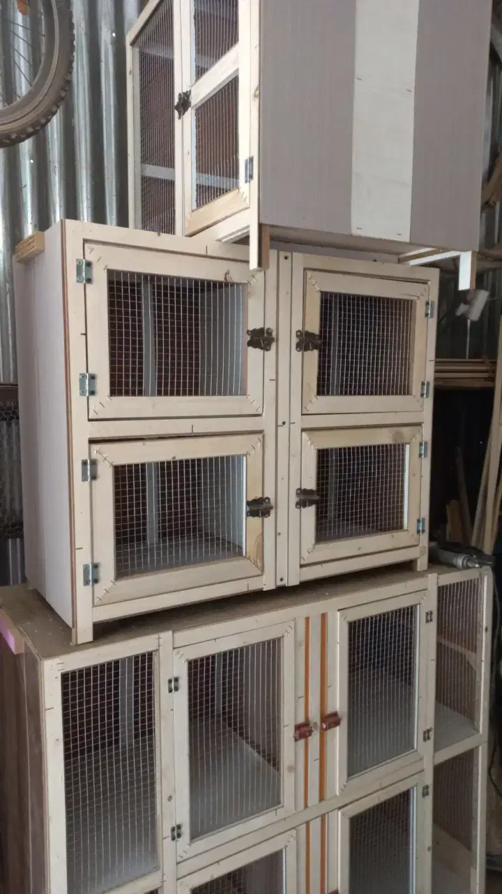 جفت کن گنجه قفس چوبی|لوازم جانبی حیوانات|مشکیندشت, |دیوار