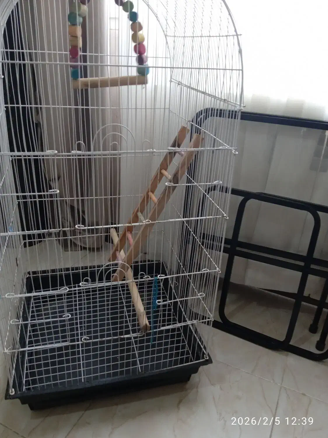 قفس پرنده|لوازم جانبی حیوانات|پاکدشت, پاکدشت (مامازند)|دیوار