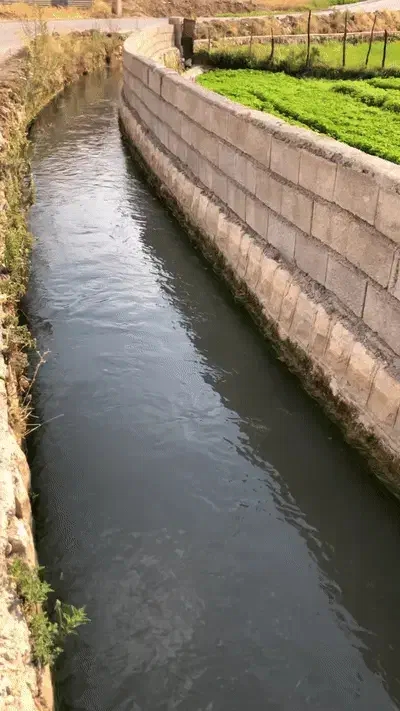 فروش زمین مسکونی|فروش زمین و ملک کلنگی|آبدانان, |دیوار