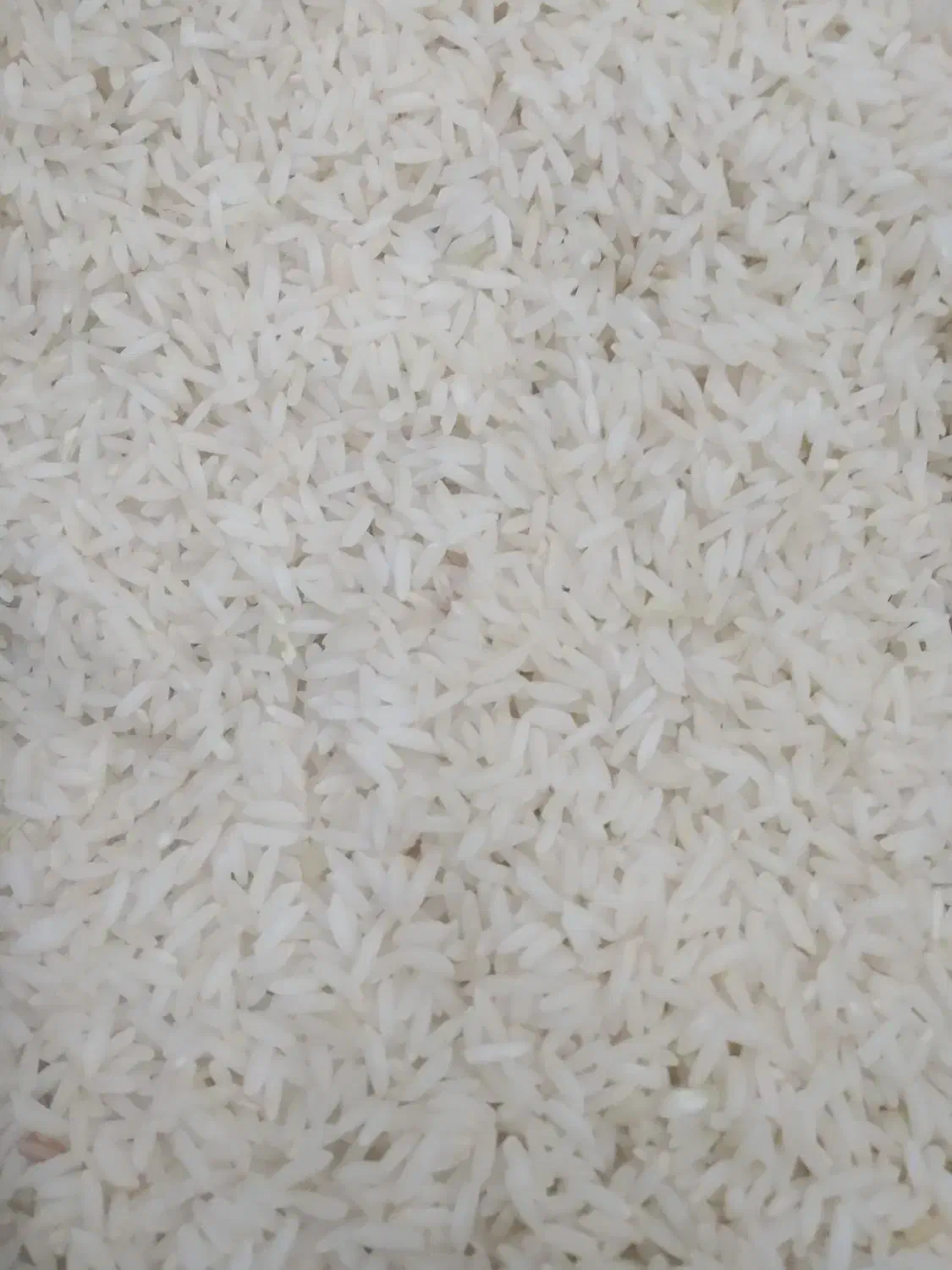 برنج میانه درجه یک فوق ممتاز|خوردنی و آشامیدنی|خوی, |دیوار