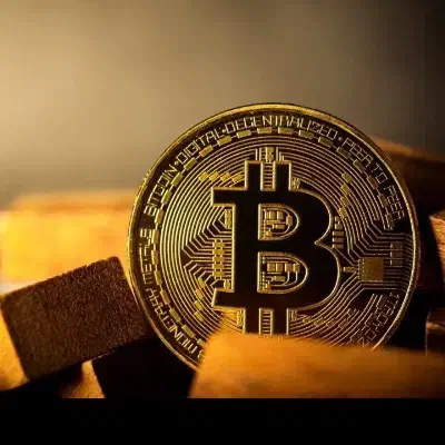 هدیه ی ۳ تا ۱۰ دلاری یا معادل ریالی آن|کارت هدیه و تخفیف|کاشان, باغچه فیض|دیوار