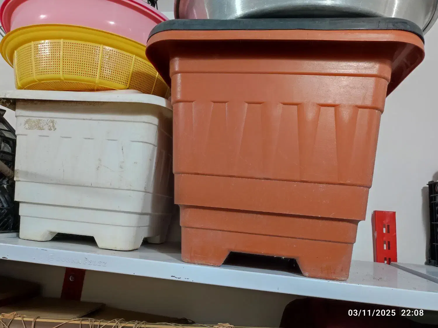 گلدان بزرگ|گل و گیاه طبیعی|الوند, |دیوار