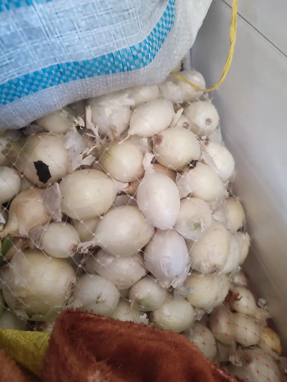 سیب و پیاز|خوردنی و آشامیدنی|جوانرود, |دیوار