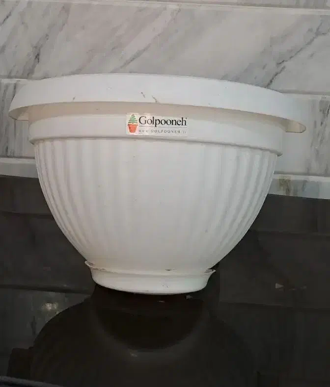 گلدان|گل و گیاه طبیعی|قم, هفت تیر|دیوار