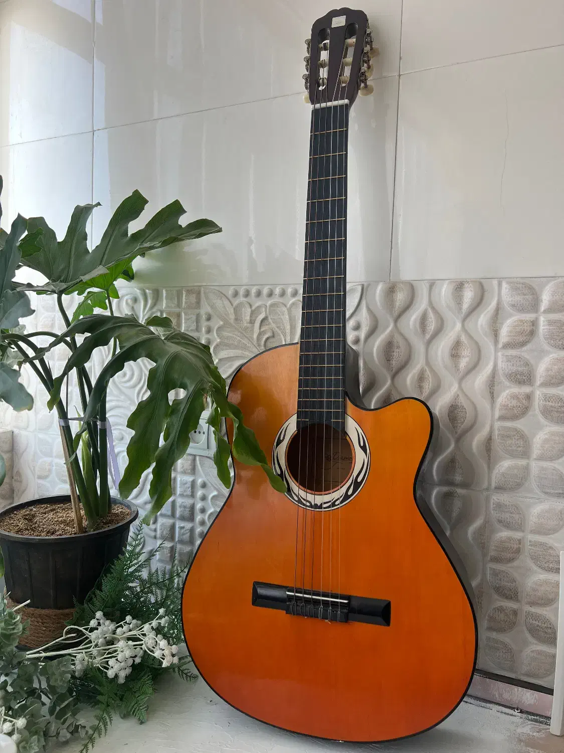 گیتار دیاموند|گیتار، بیس، امپلیفایر|پاکدشت, پاکدشت (مامازند)|دیوار