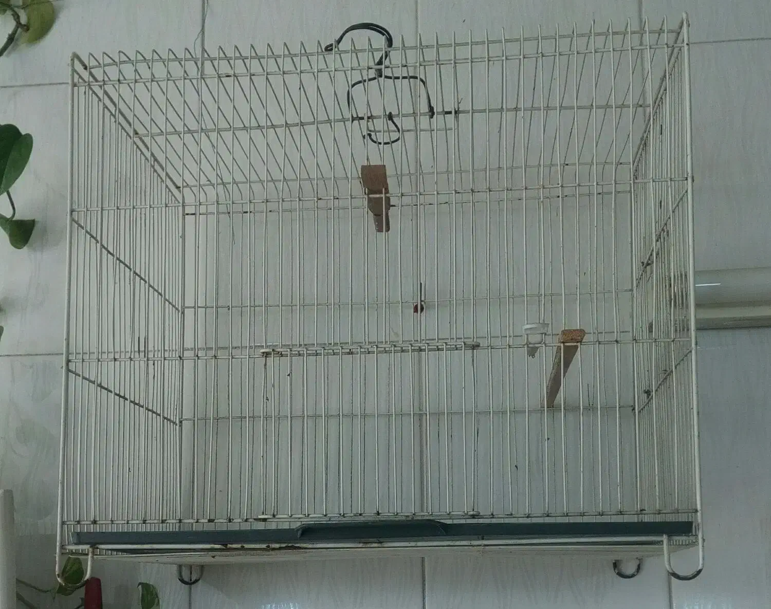 قفس سهره و قناری برای تمام پرندگان ریز جثه|لوازم جانبی حیوانات|فردیس, شهرک هفده شهریور|دیوار
