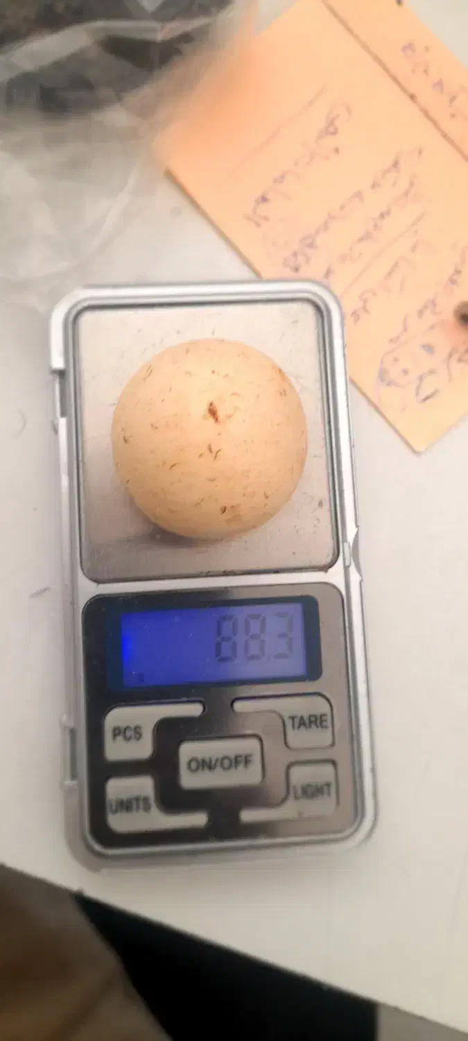 سنگ الماس آسیاب یا مروارید غار بروجردی|کلکسیون اشیاء عتیقه|بندر گناوه, |دیوار