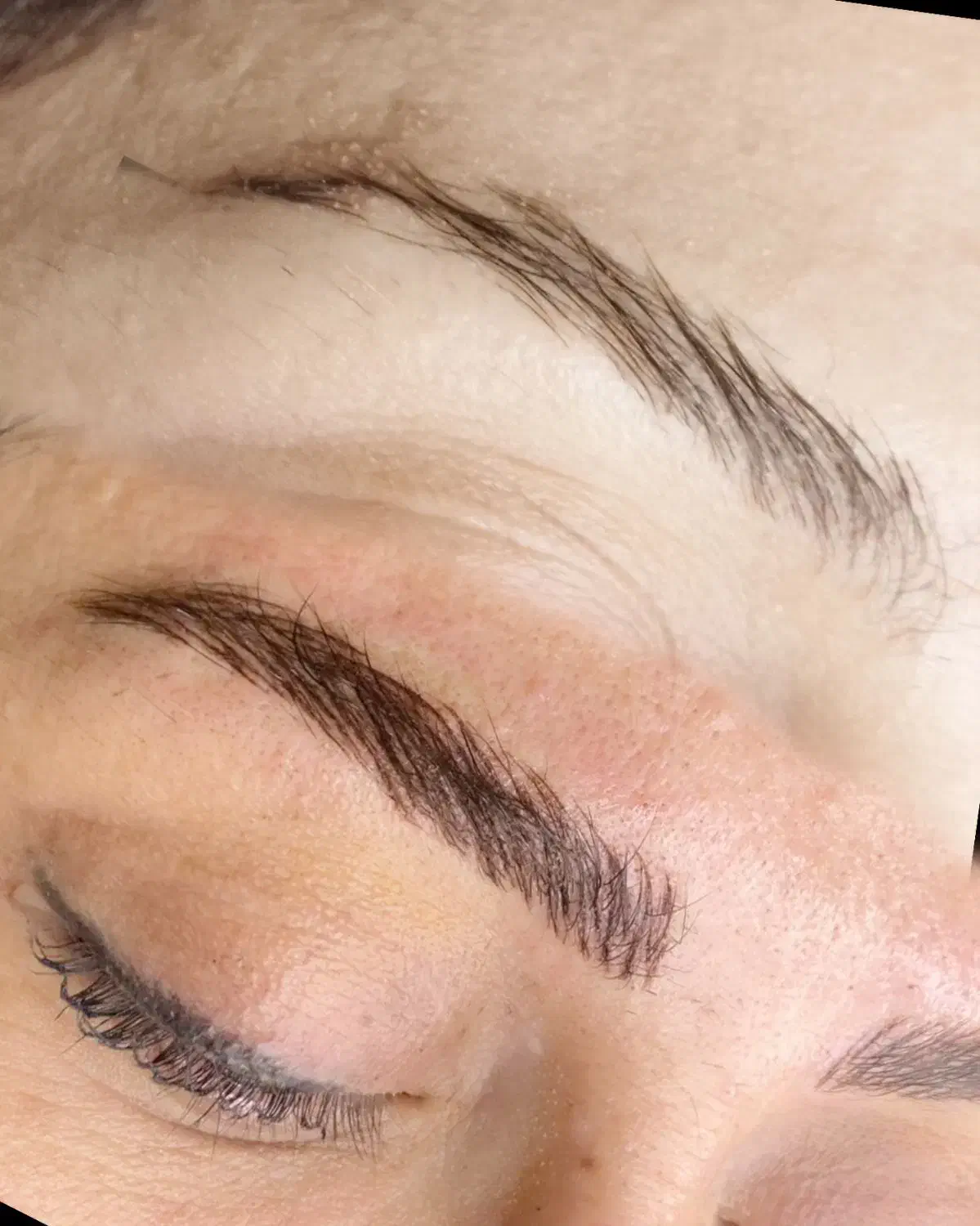 مدل رایگان میکروی ابرو و شیدلب|خدمات آرایشگری و زیبایی|رشت, گلسار|دیوار