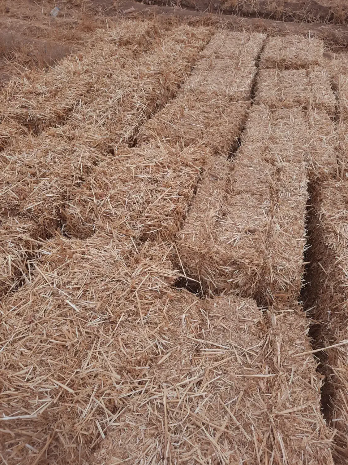 پخل گندم|لوازم جانبی حیوانات|تربت جام, جلگه موسی آباد|دیوار