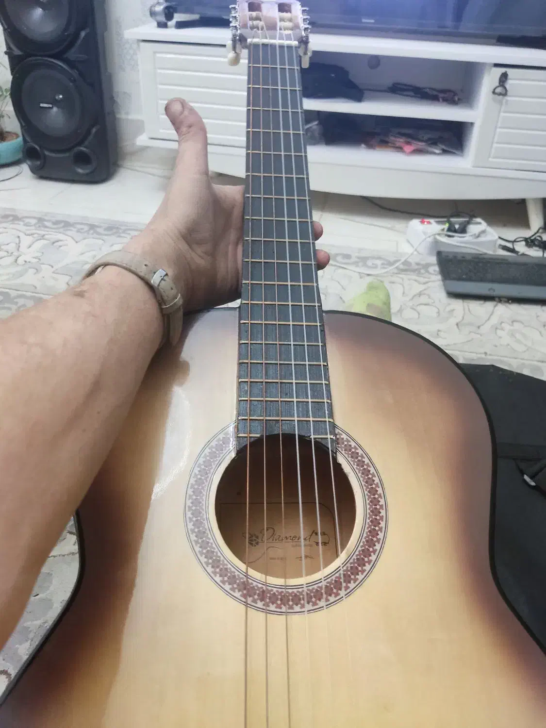 گیتار در حد نو|گیتار، بیس، امپلیفایر|بروجرد, |دیوار