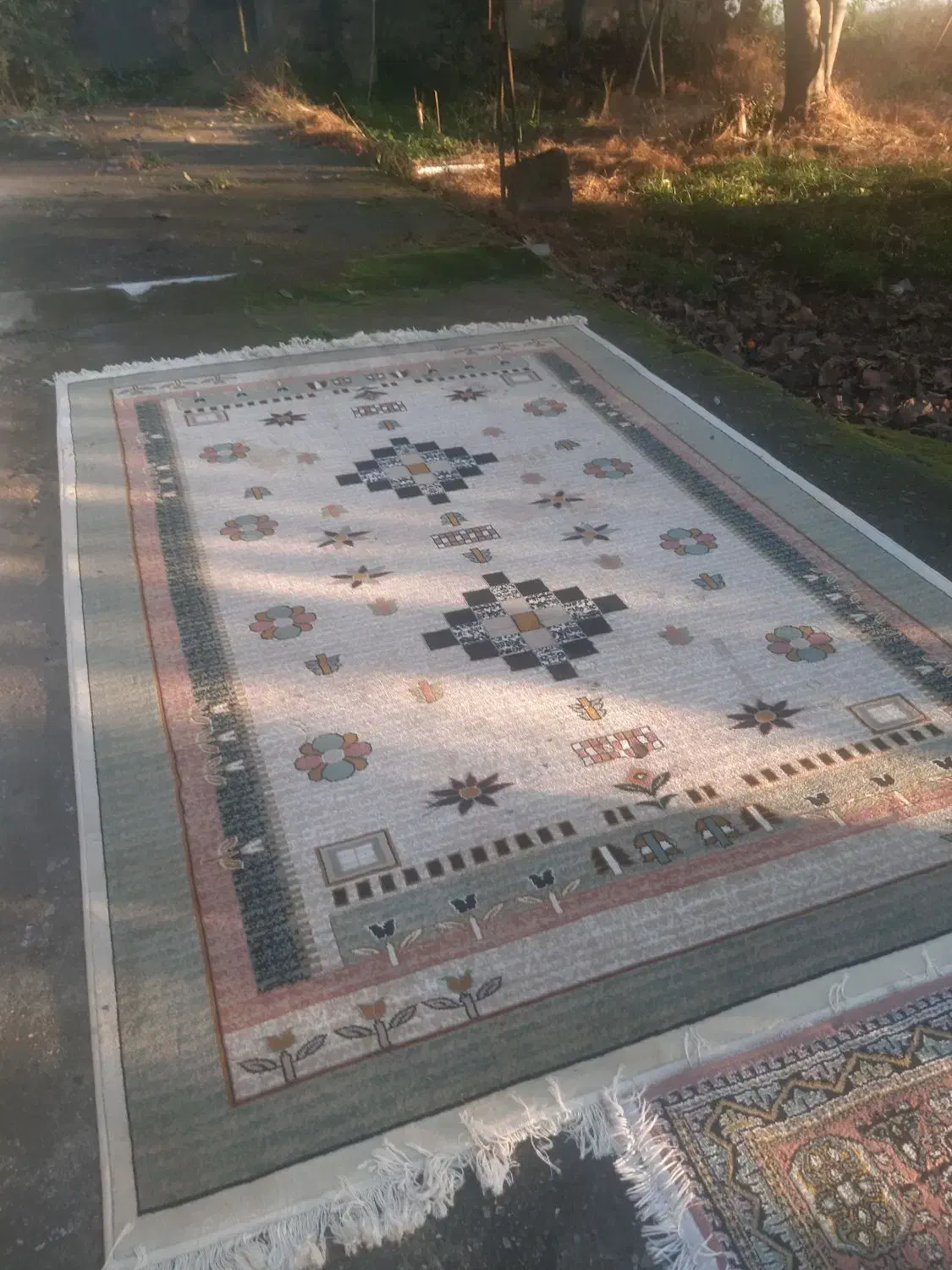 قالی ۶ متری وقالیچه ماشینی|فرش|آستانه اشرفیه, |دیوار