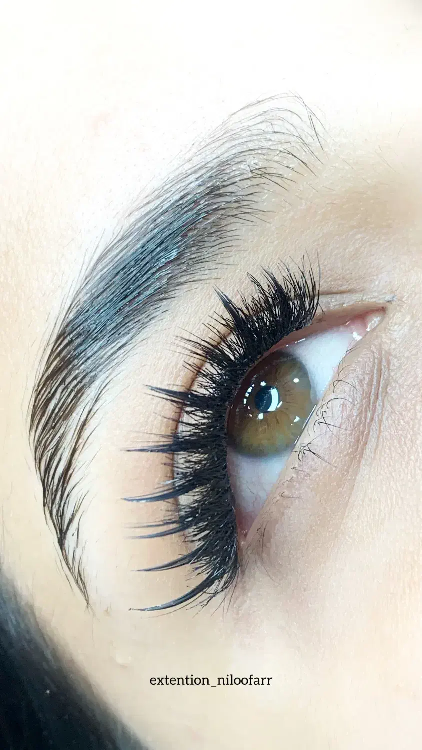 اموزش اکستنشن مژه ،لیفت لمینت همراه مدرک|خدمات آموزشی|شیراز, طلاب|دیوار