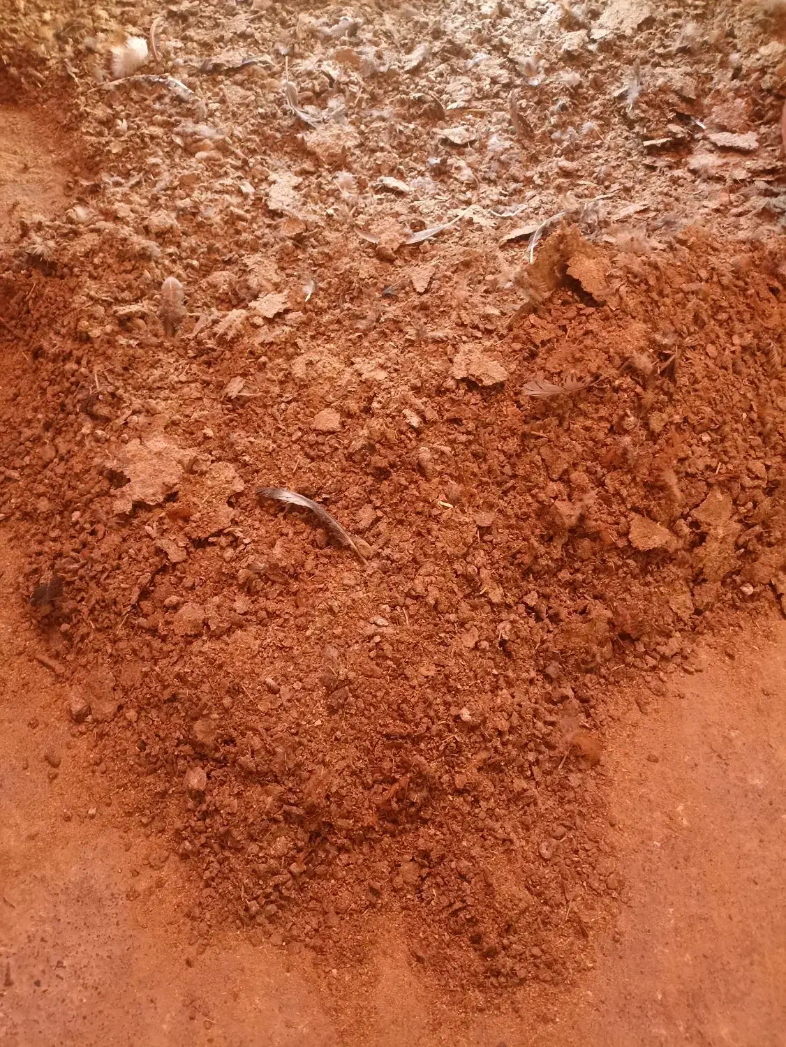 کود مرغی|خدمات باغبانی و درختکاری|فرمهین, |دیوار