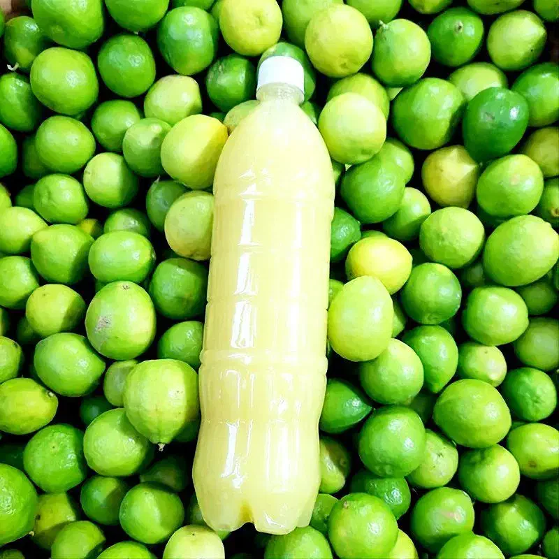 آبلیمو طبیعی آبغوره طبیعی ( شیراز ) ۱۴۰/۰۰۰|خوردنی و آشامیدنی|قم, ولیعصر|دیوار