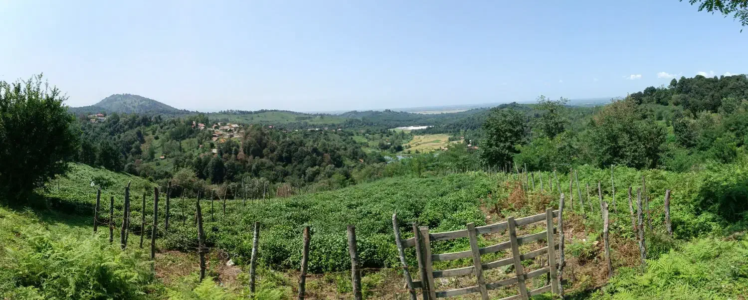 زمین باغی|فروش زمین و ملک کلنگی|سیاهکل, |دیوار