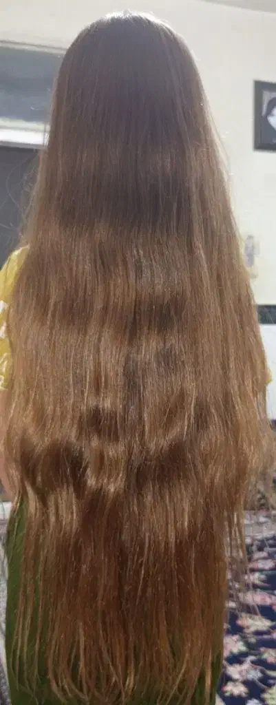 مو های شما دوستان|فعالیت داوطلبانه تحقیقاتی|قزوین, |دیوار