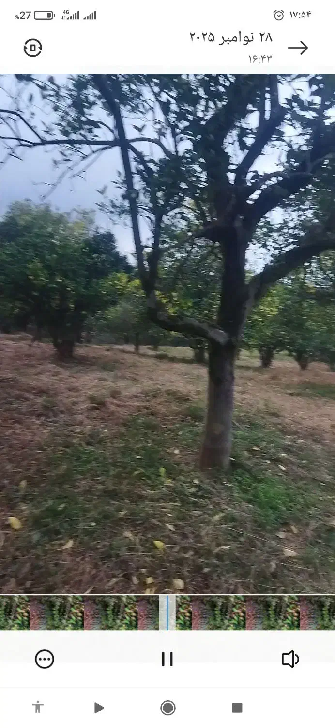 ۸۰۰مترباغ پرتغال ویودار|فروش زمین و ملک کلنگی|چابکسر, |دیوار