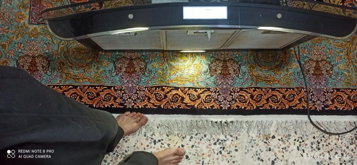 هود|هود|بندر ماهشهر, |دیوار