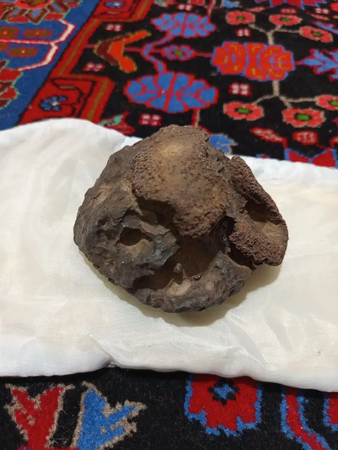 مشکوک به شهاب سنگ|کلکسیون اشیاء عتیقه|مهاجران, |دیوار