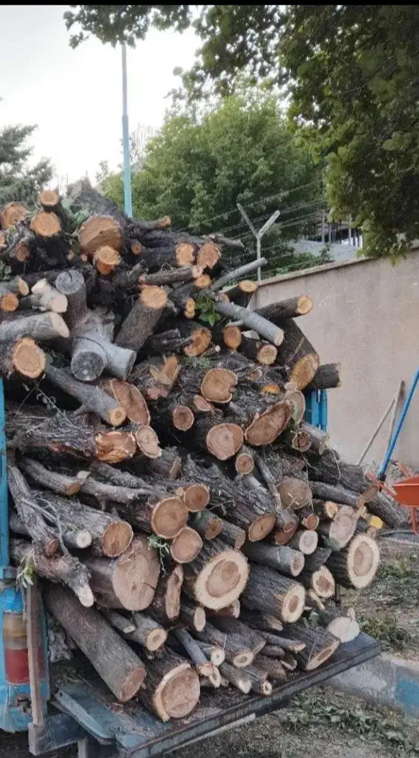 خرید چوب با بالاترین قیمت|خدمات باغبانی و درختکاری|قیدار, |دیوار