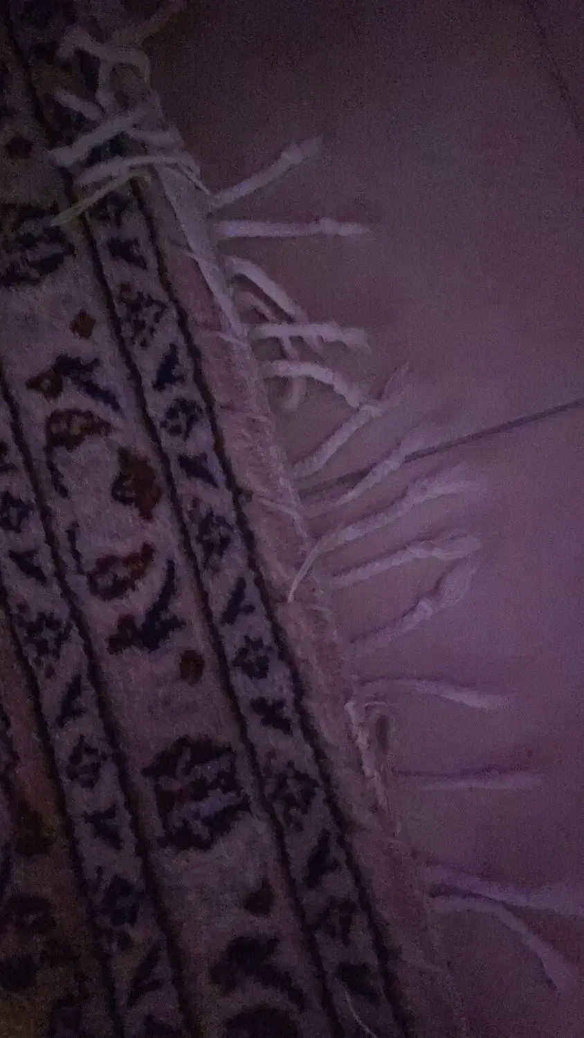 فرش دستبافت ۹ متری|فرش|پردیس, فاز ۱|دیوار