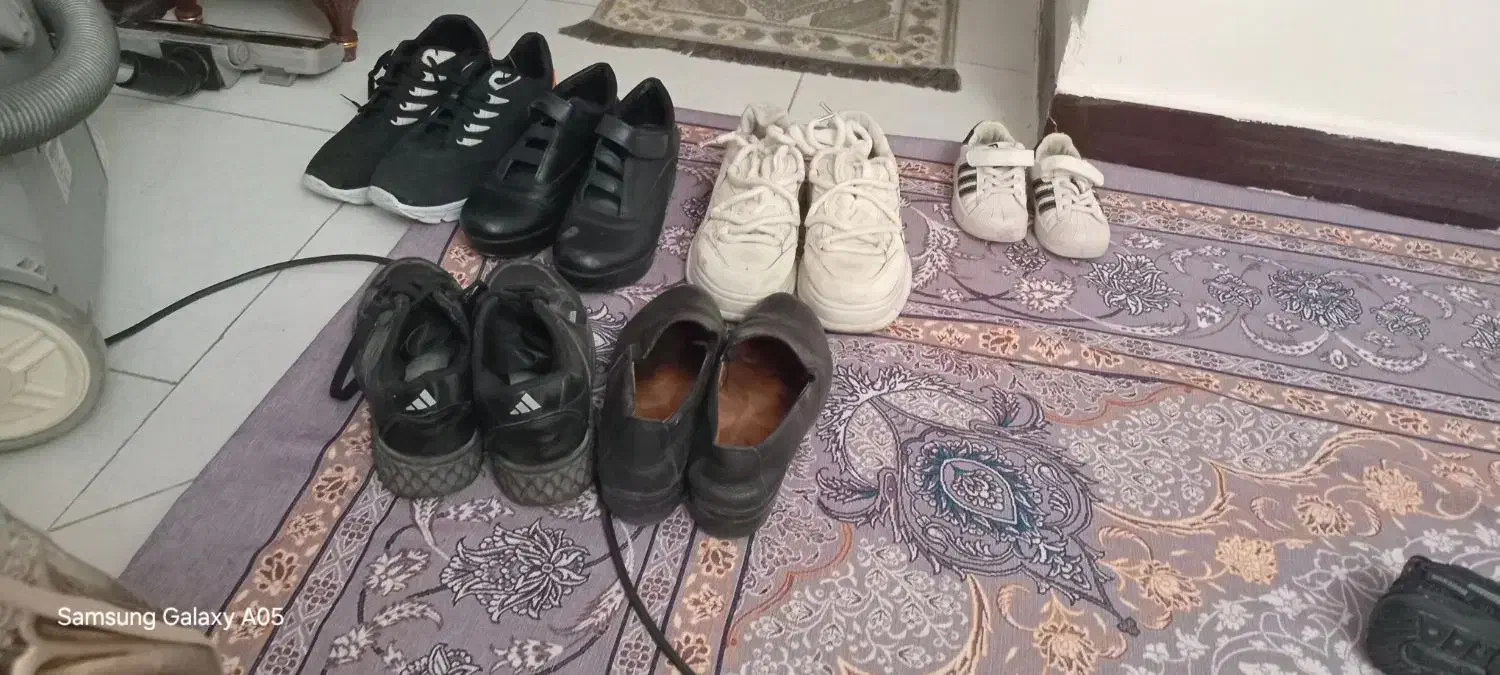 کفش و کتانی کیف نو ودرحدنو|کیف، کفش، کمربند|اندیشه, اندیشه فاز ۱|دیوار