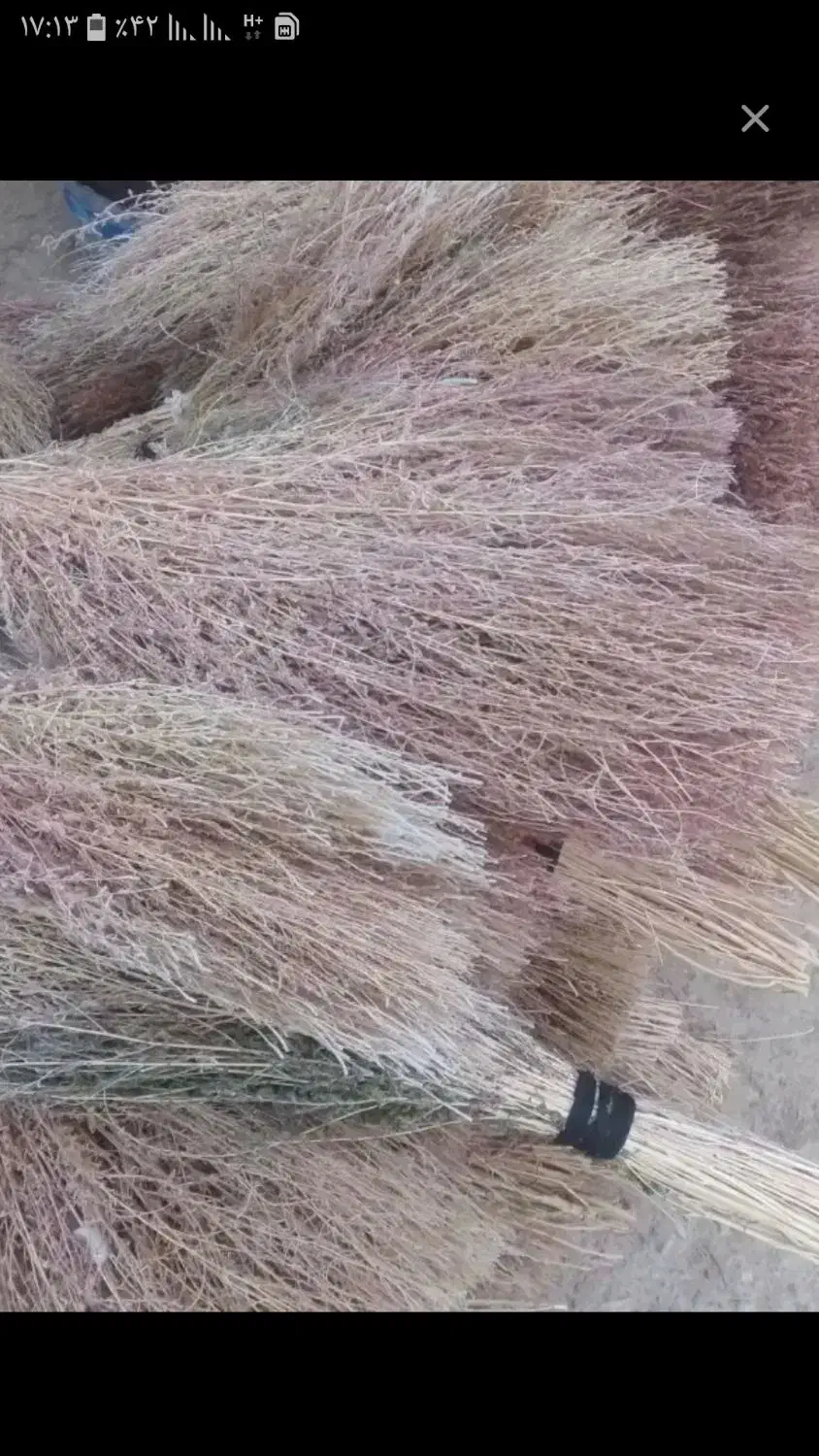 جارو شهرداری دانه 50|لوازم نظافت|ایوان, |دیوار