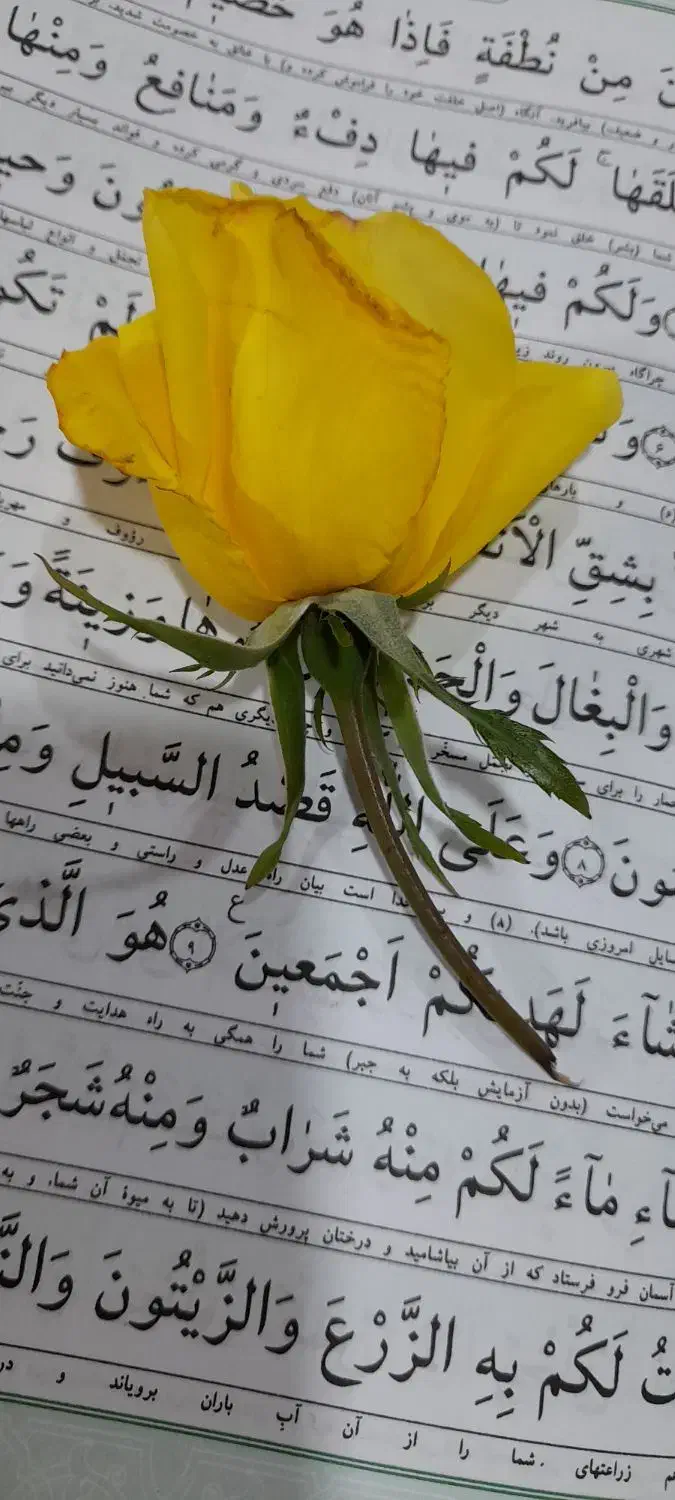 ختم قرآن کریم|کتاب و مجله مذهبی|مراغه, |دیوار