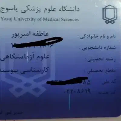 مدارک گمشده|اشیا|بندر گناوه, |دیوار