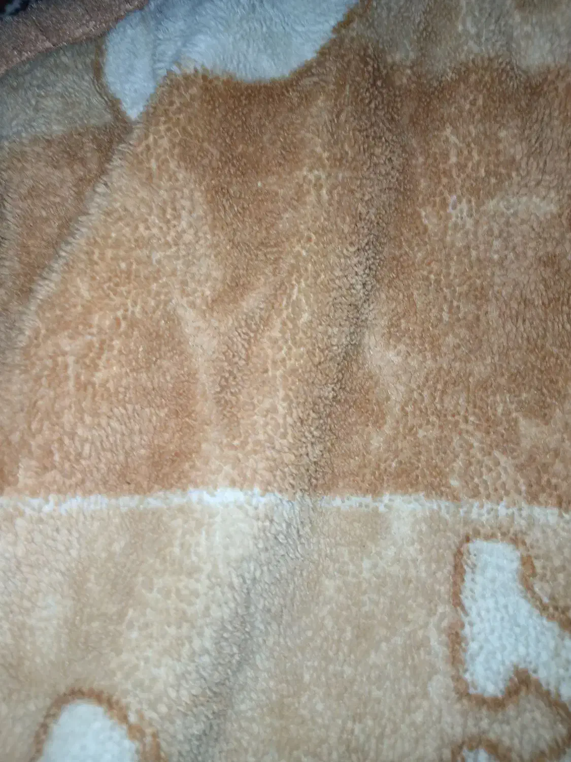 پتو|رختخواب، بالش، پتو|همدان, |دیوار