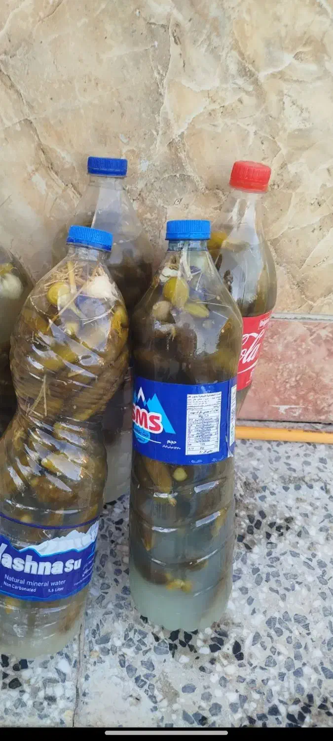 خیارشور|خوردنی و آشامیدنی|لالجین, |دیوار