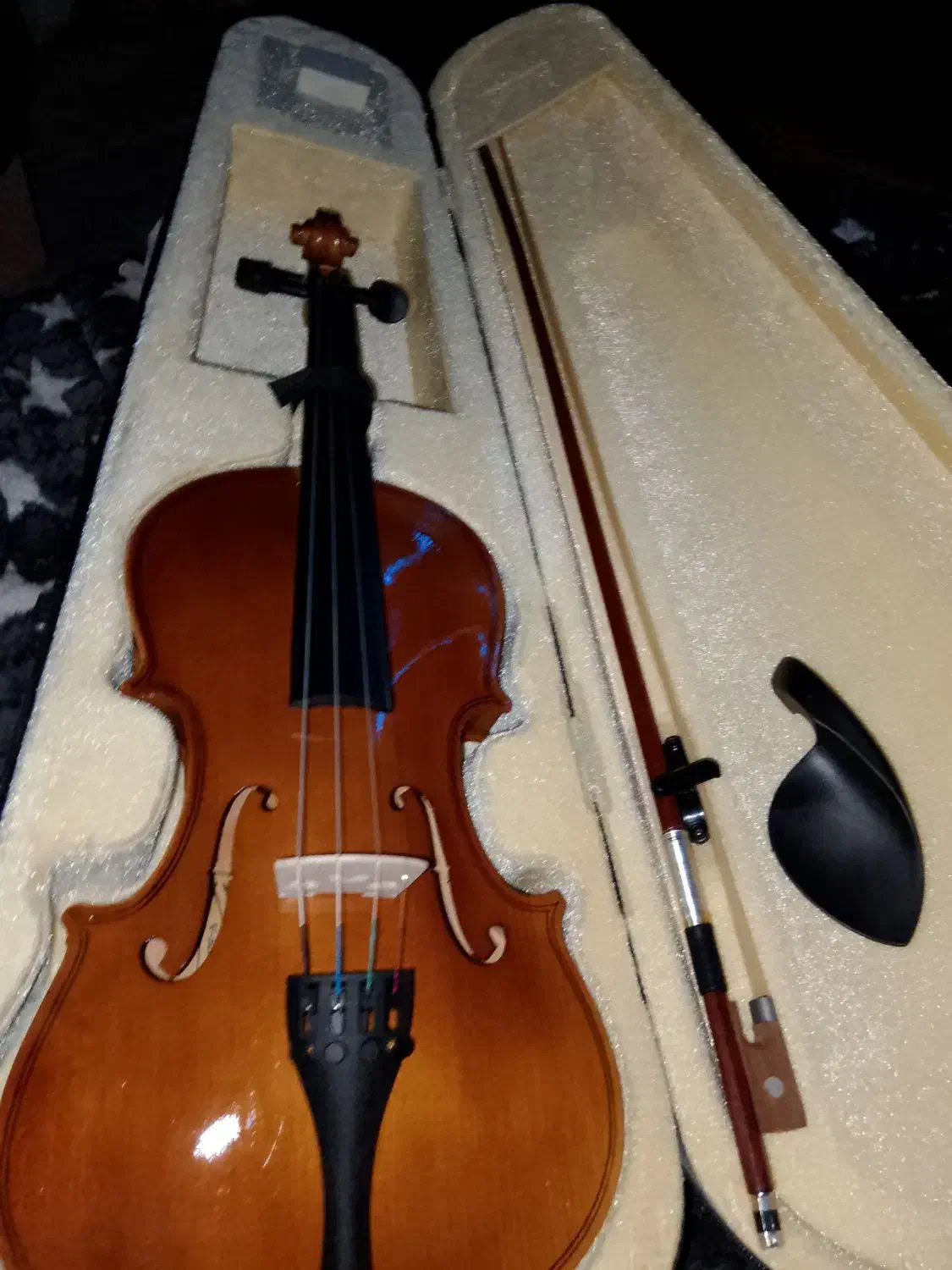 ویولن|ویولن|آبادان, |دیوار