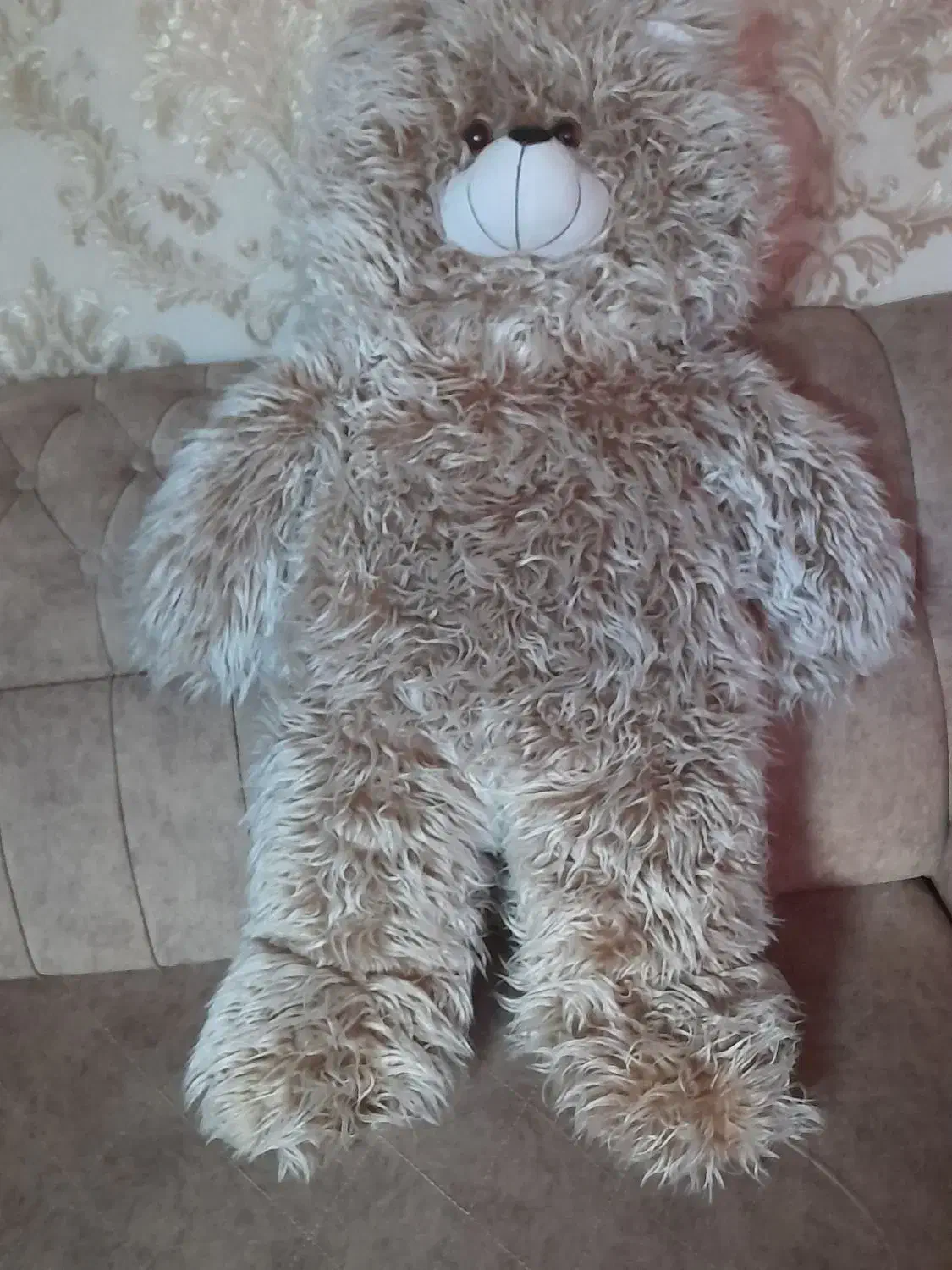 خرس|اسباب‌‌بازی|زنجان, |دیوار