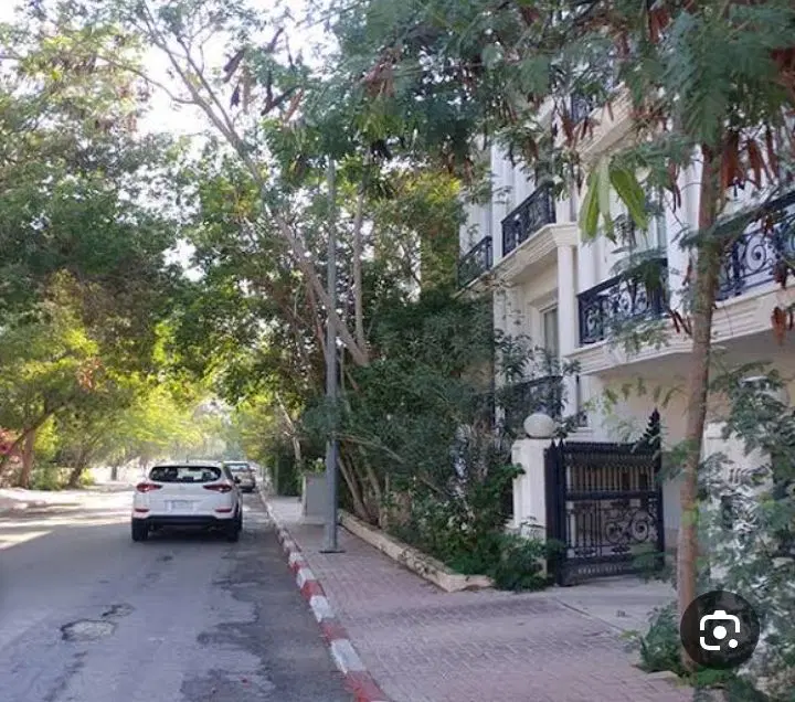 تصویر اصلی