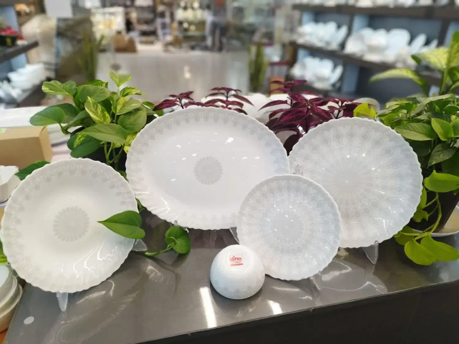 سرویس اپال درجه یک|ظروف سرو و پذیرایی|مشهد, تربیت (صدف)|دیوار