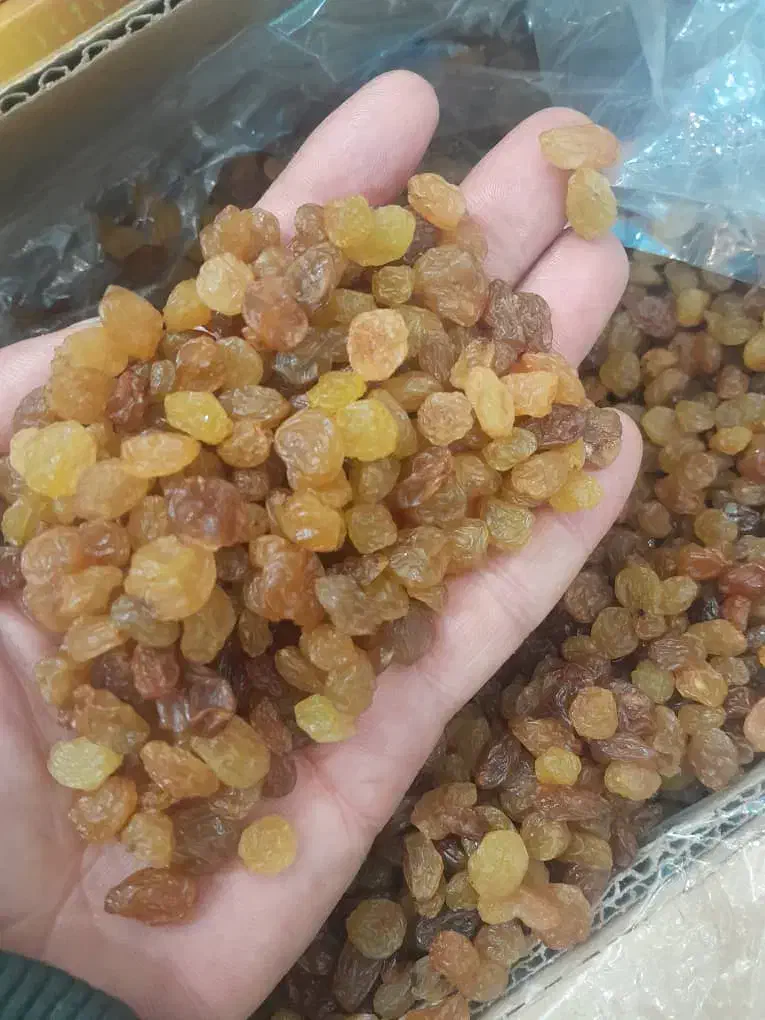 کشمش پلویی|خوردنی و آشامیدنی|اهواز, بنکداری|دیوار