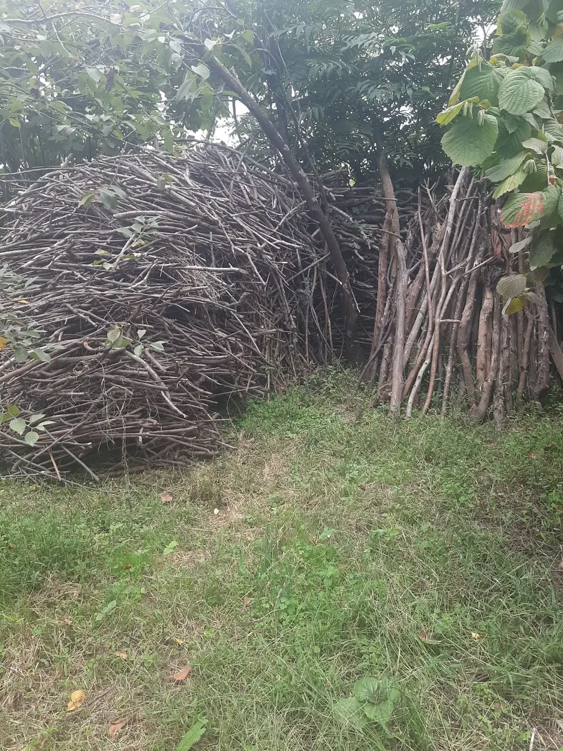 هیزم سر شاخه خشک  به اندازه  بار ۲ نیسان|بخاری، هیتر، شومینه|تالش, جوکندان|دیوار