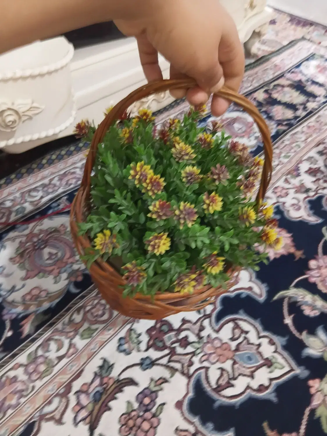 گل،|گل مصنوعی|شیراز, شهرک فرزانگان|دیوار