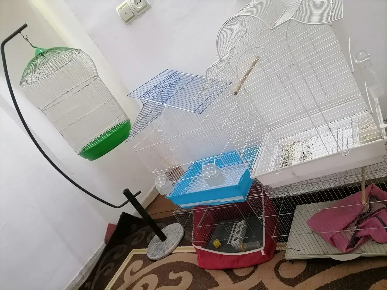 5 عدد قفس پرنده درحدنو|لوازم جانبی حیوانات|کرمان, |دیوار