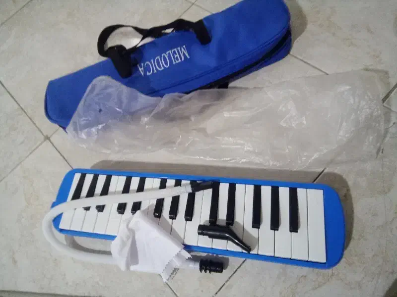 ساز دهنی زیبای ملودیکا حراج|سازهای بادی|هشتگرد, شهرک ولیعصر (مصلی)|دیوار