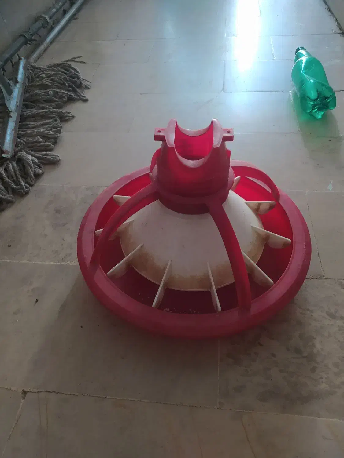 دانخوری بشقابی|لوازم جانبی حیوانات|هرسین, |دیوار