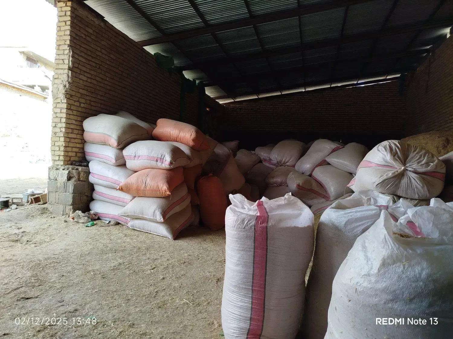 کاه گندم گونی شده|لوازم جانبی حیوانات|همایجان, |دیوار