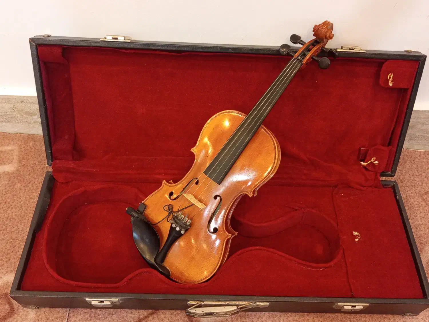 ویولن سایز بزرگ نو|ویولن|آزادشهر, |دیوار