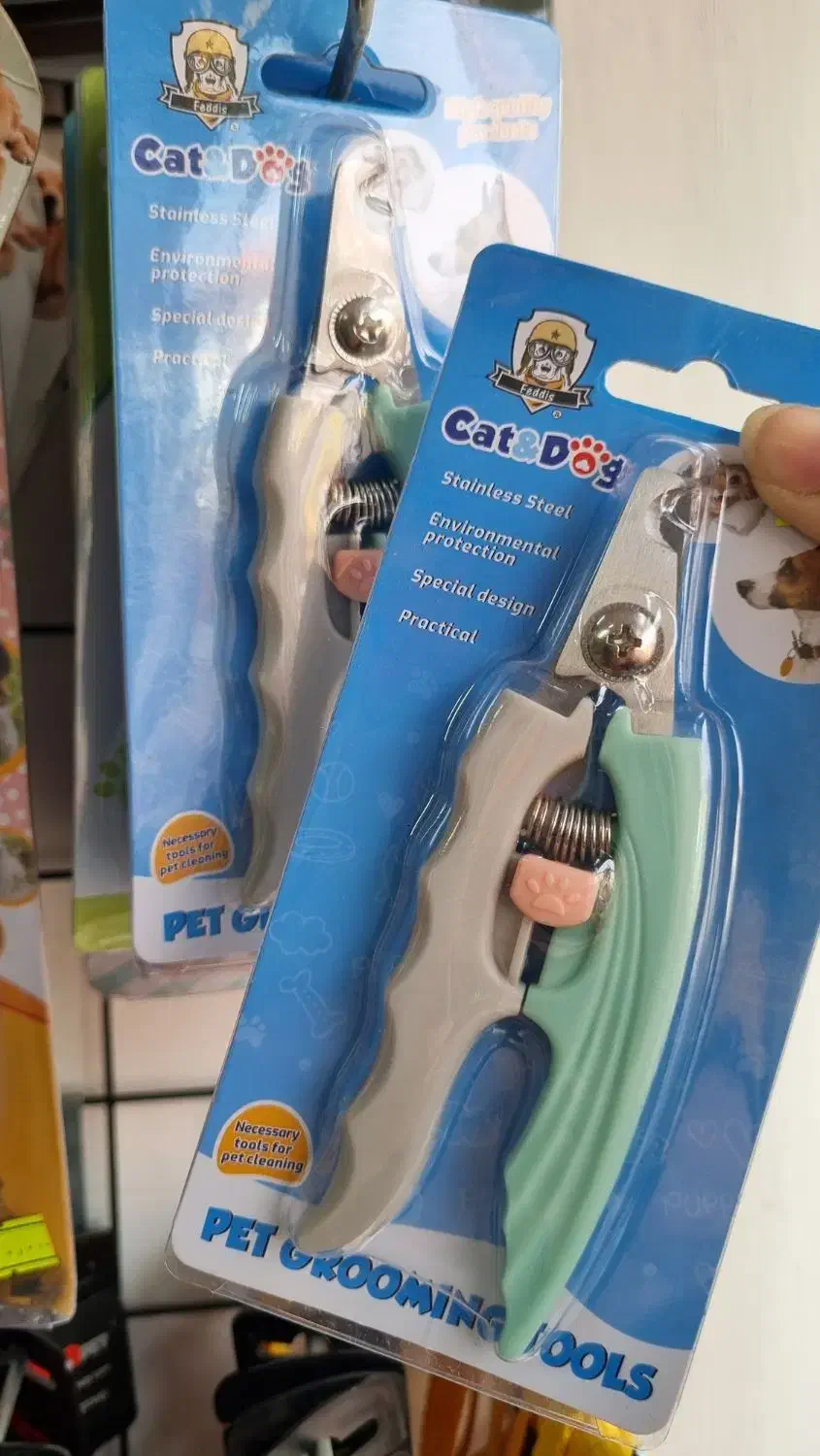 پت شاپ سوفی|لوازم جانبی حیوانات|رشت, چله خانه|دیوار