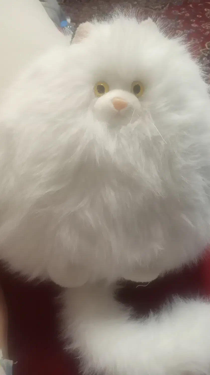 عروسک گربه|اسباببازی بچه|شیراز, فرهنگ شهر|دیوار