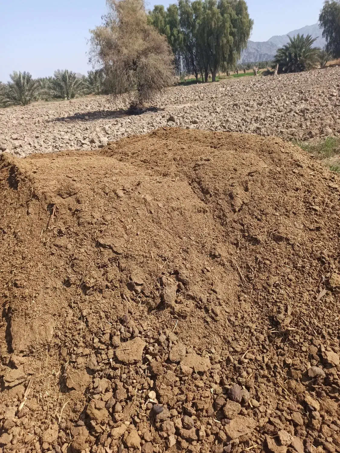 سلام|خدمات باغبانی و درختکاری|رودان, |دیوار