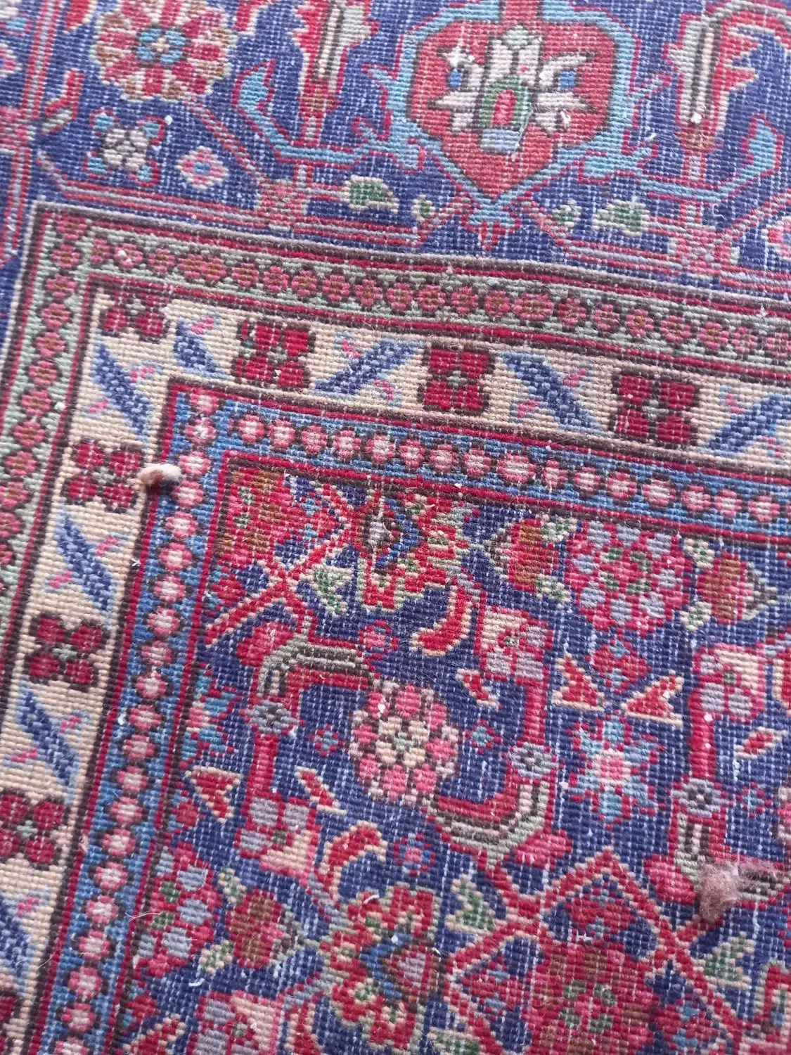 فرش دستباف ماهی|فرش|تبریز, |دیوار